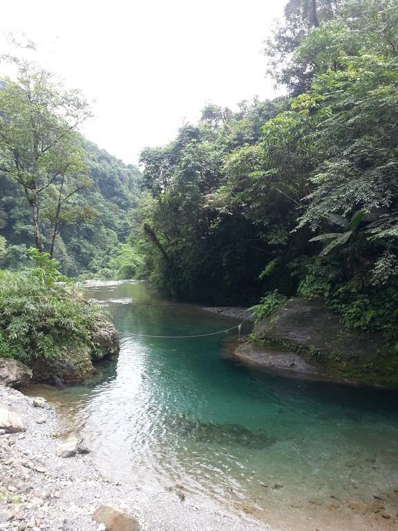Chinan Monet Garden Coffee Farm 아파트 외부 사진