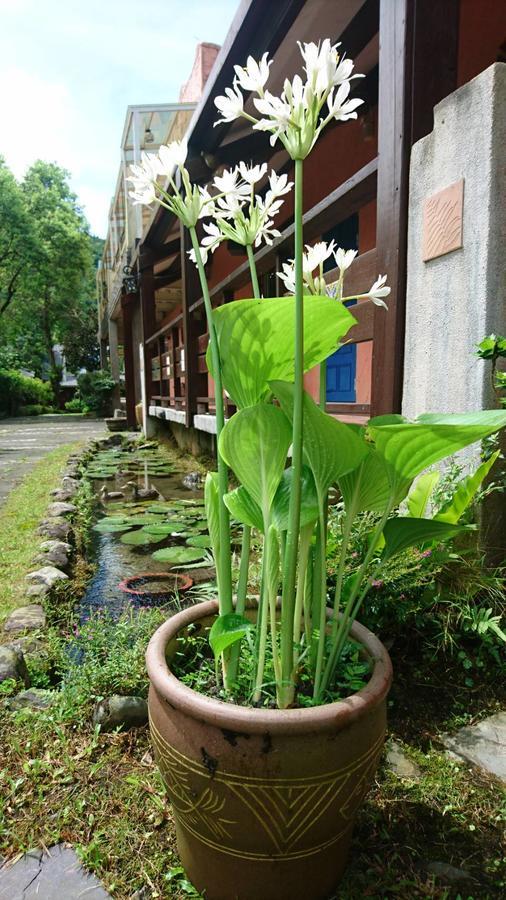 Chinan Monet Garden Coffee Farm 아파트 외부 사진